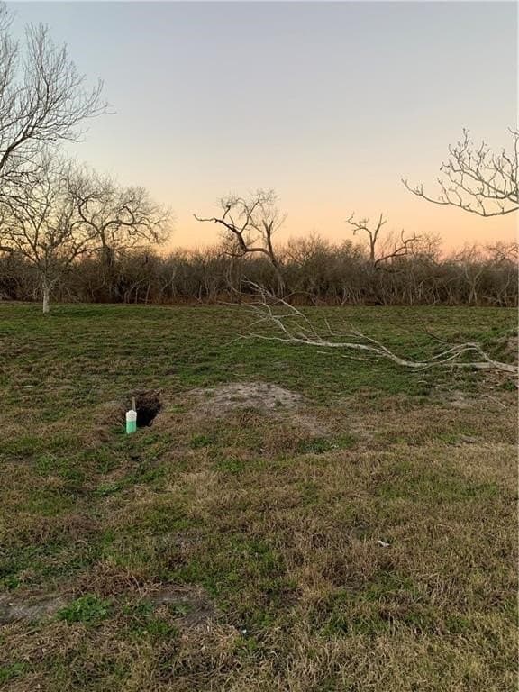 0 acres in Bee County