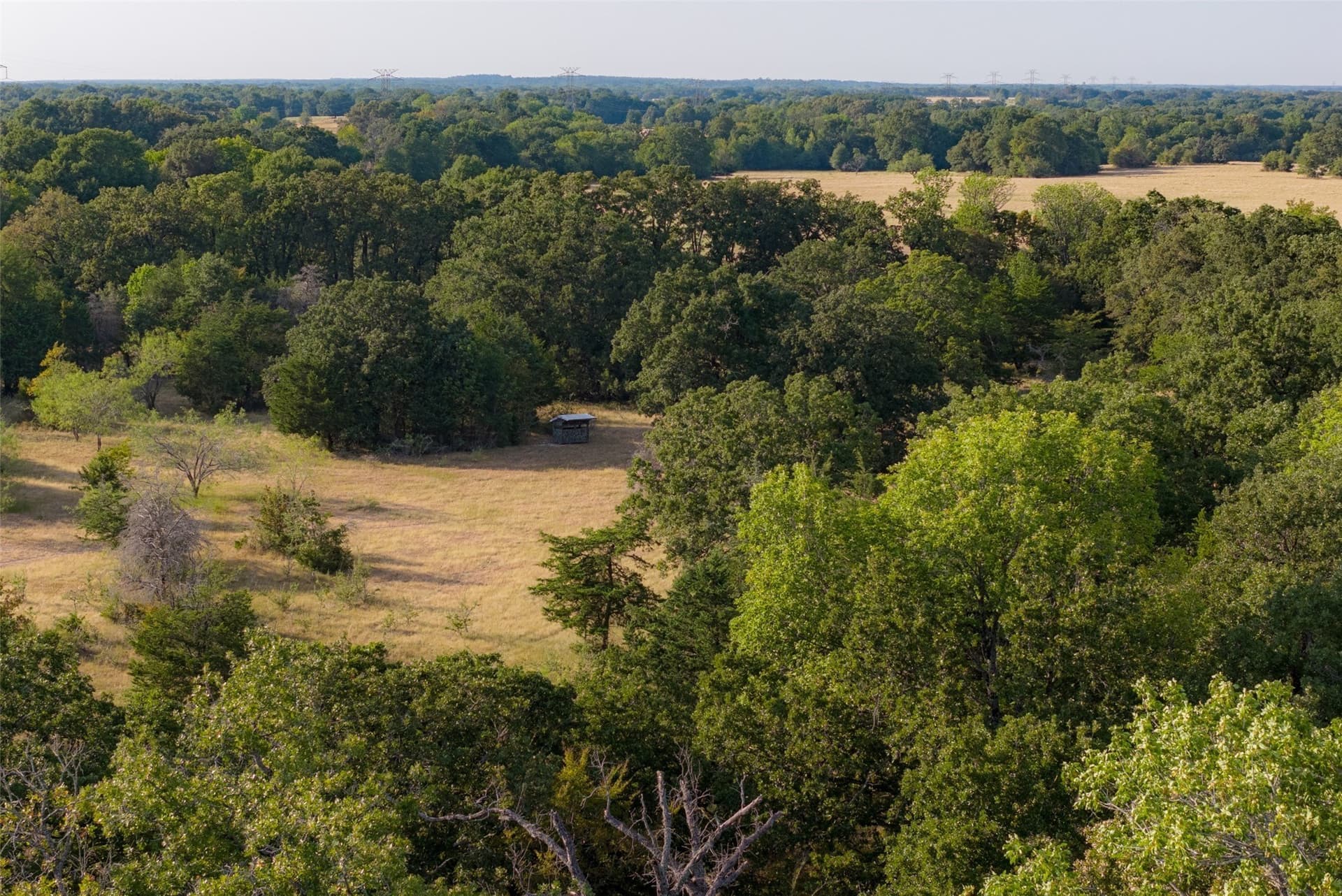 71.91 acres in Navarro County