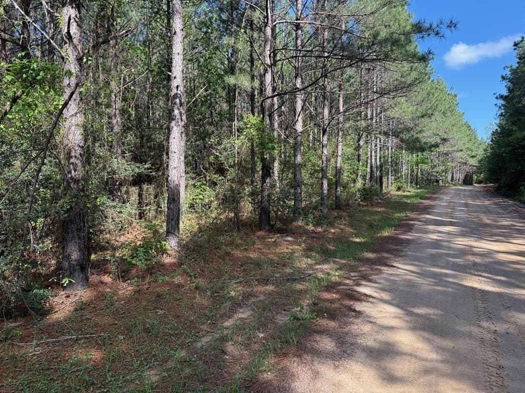 12.16 acres in Texas County