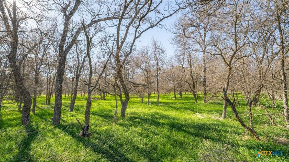 15.86 acres in Milam County