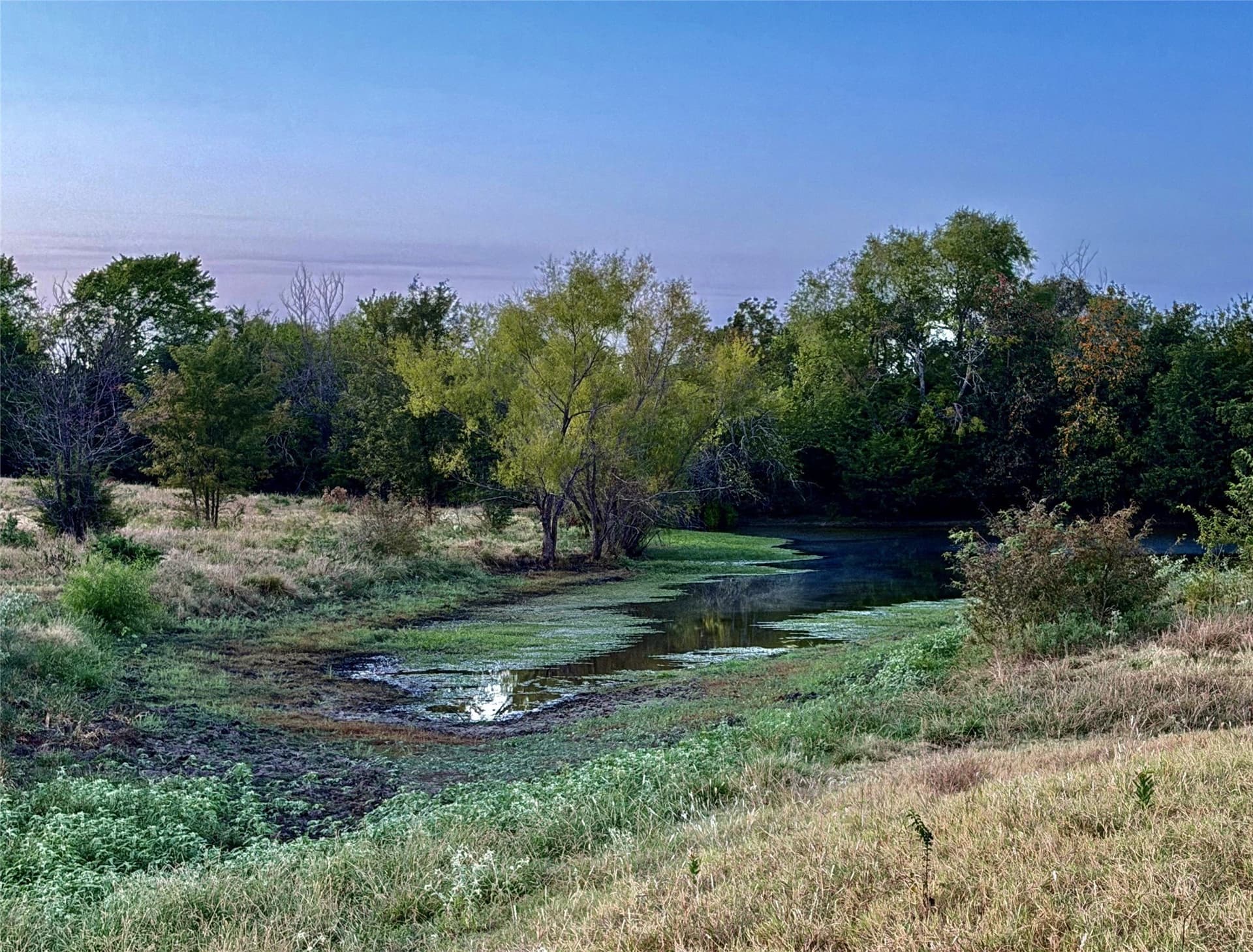 72.66 acres in Fannin County