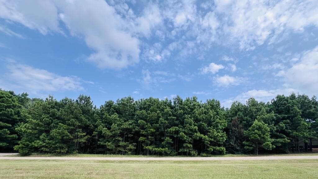 0.62 acres in Texas County