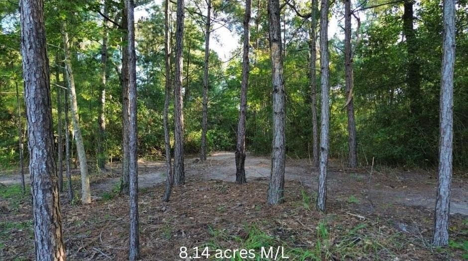 8.14 acres in Texas County