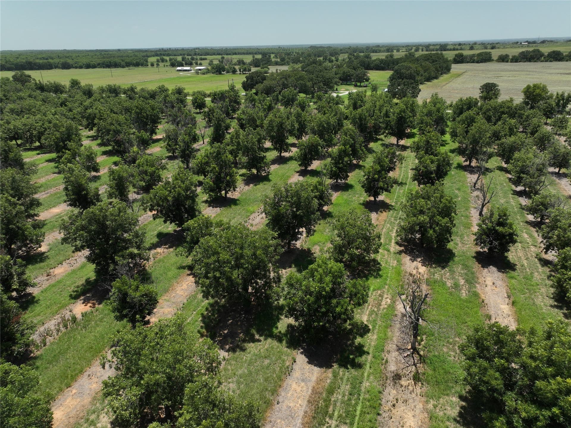 81.7 acres in Comanche County