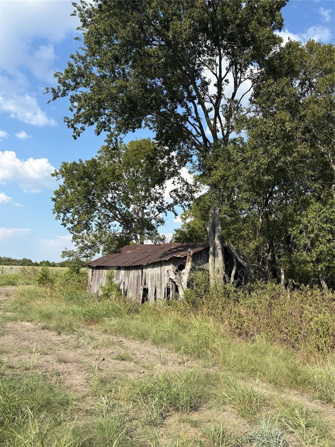 56.27 acres in Lamar County