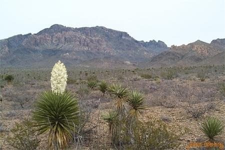 80 acres in Hudspeth County
