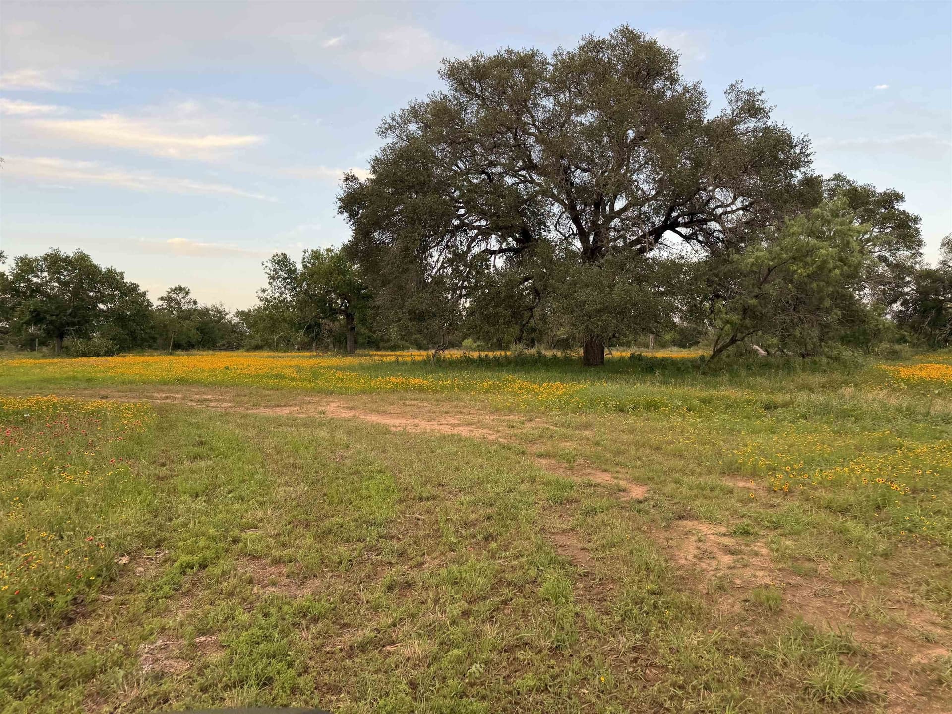 32.09 acres in Burnet County