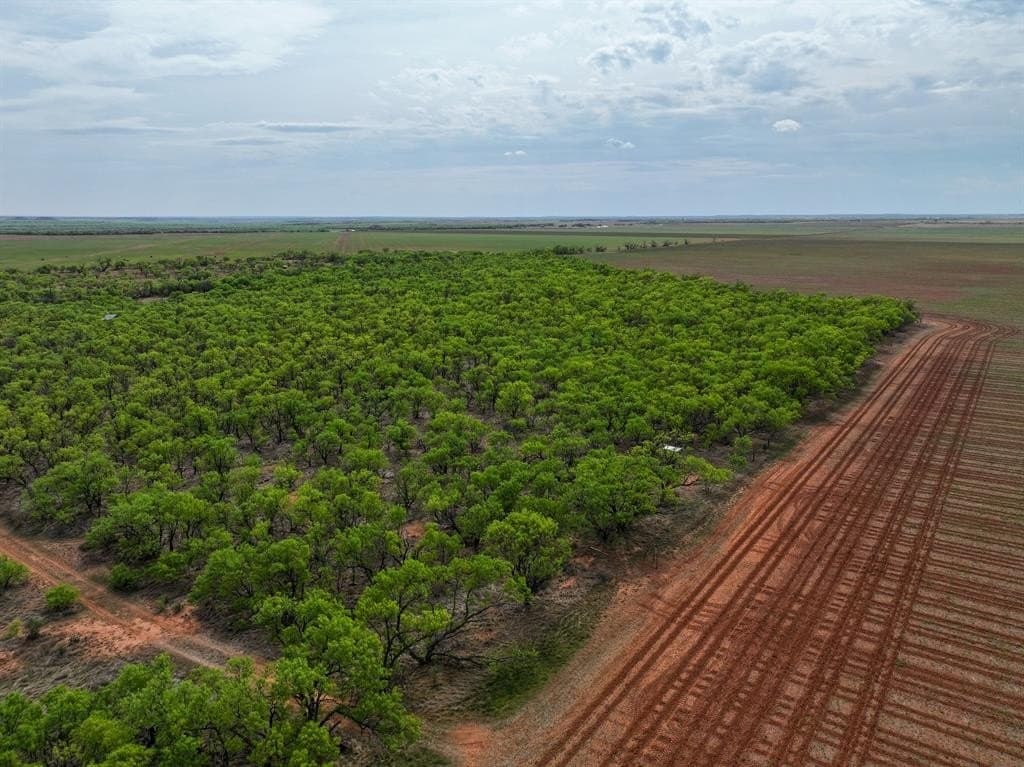 171 acres in Stonewall County