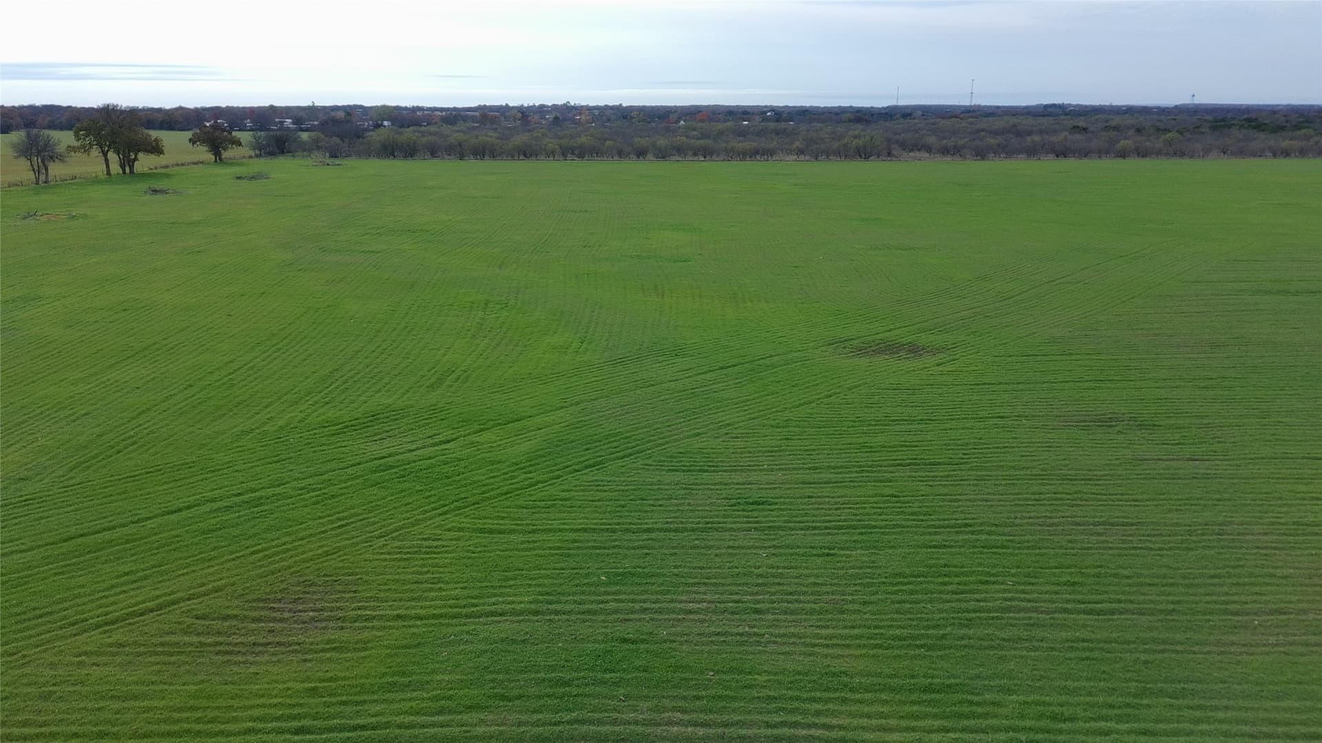 56.81 acres in Palo Pinto County