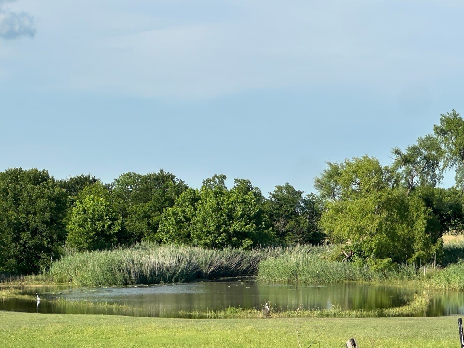 2.5 acres in Rockwall County