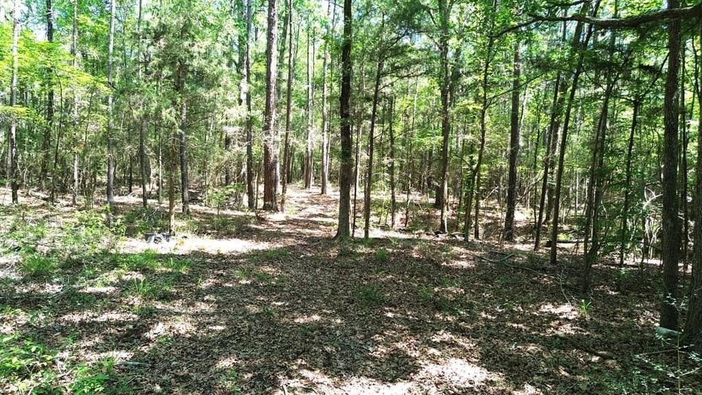 6.76 acres in Texas County