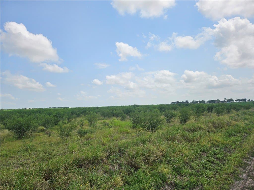 22.86 acres in Jim Wells County