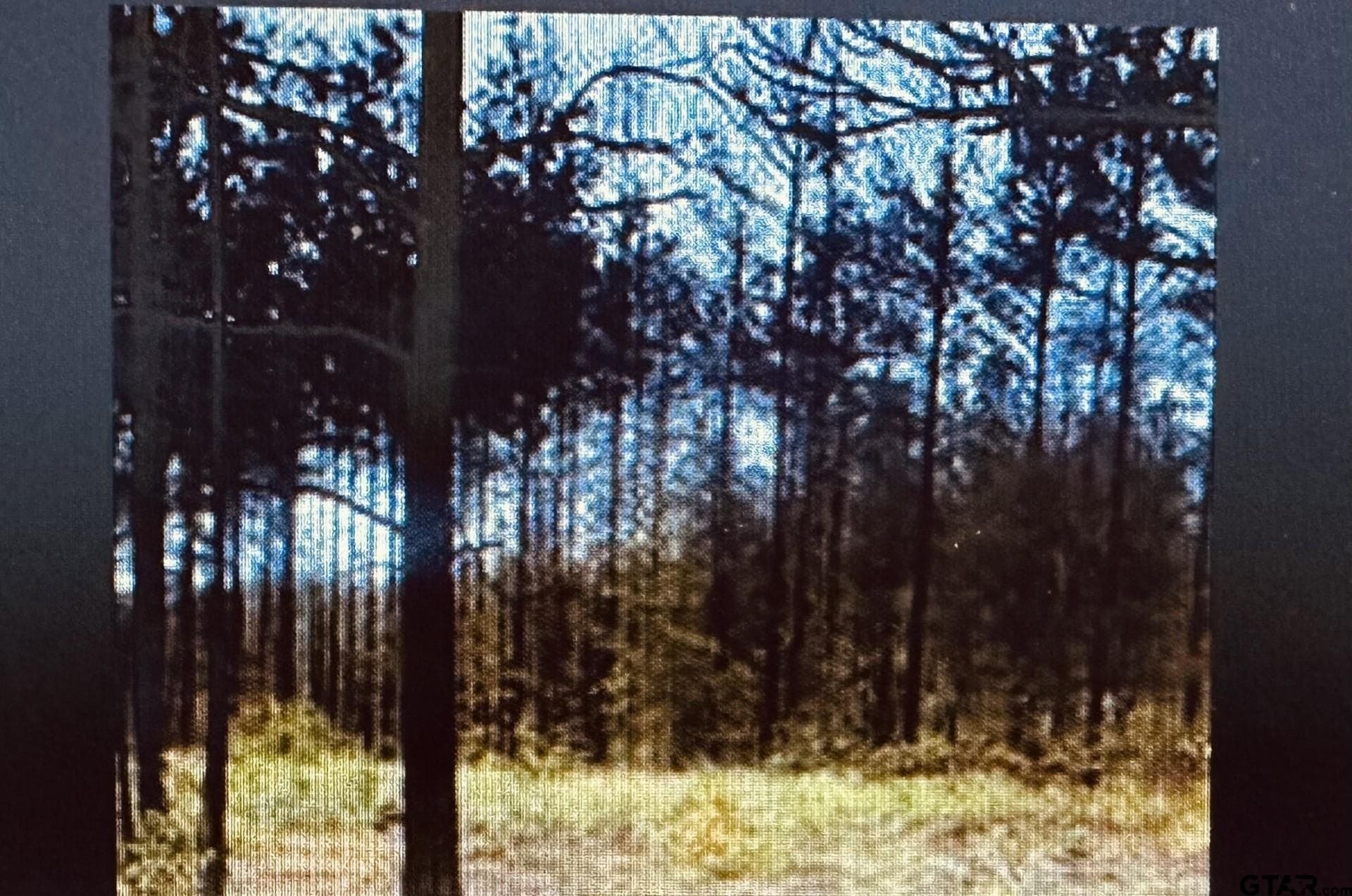 6 acres in Rusk County