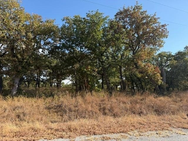 0.25 acres in Montague County