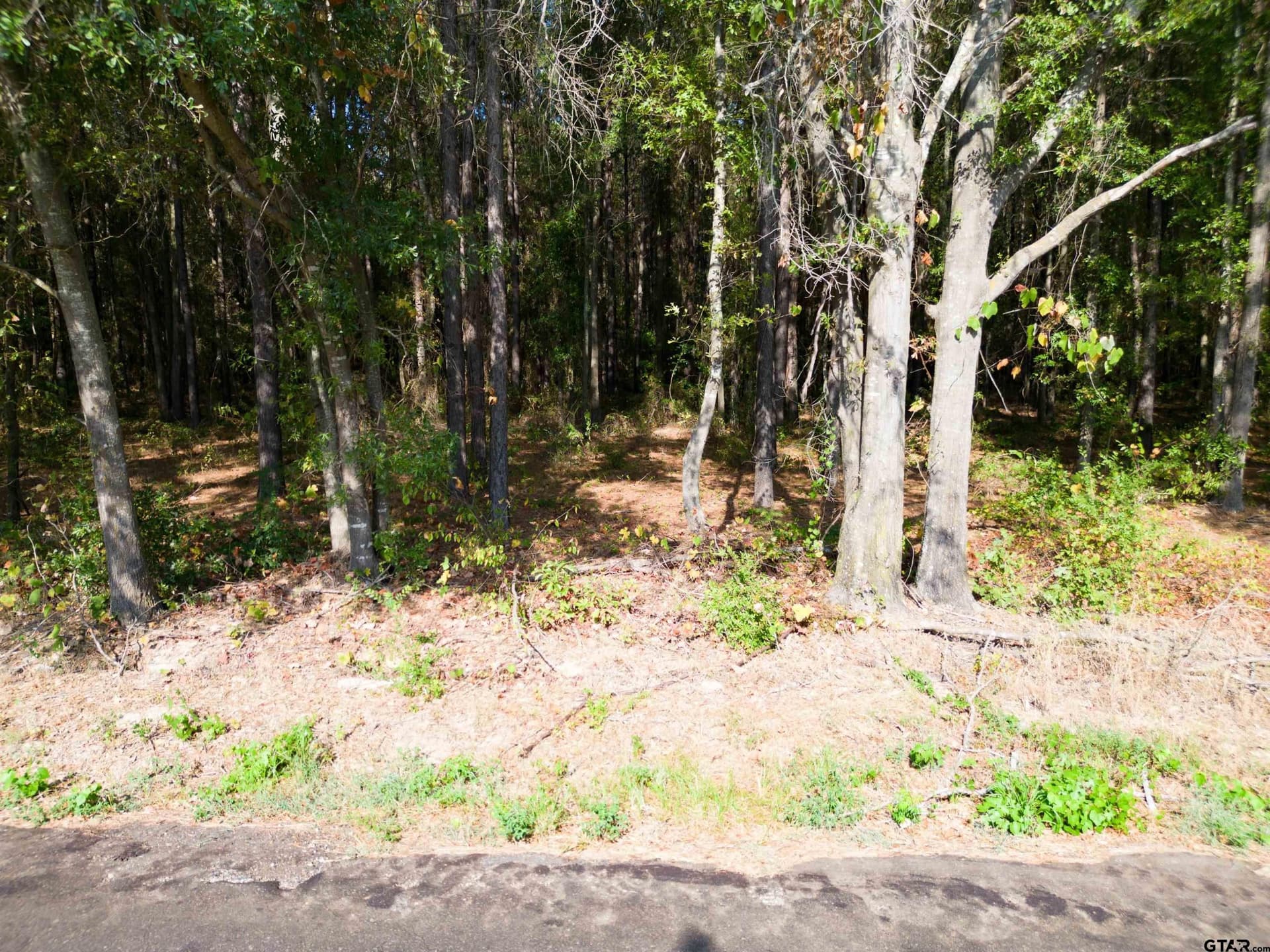 2 acres in Camp County