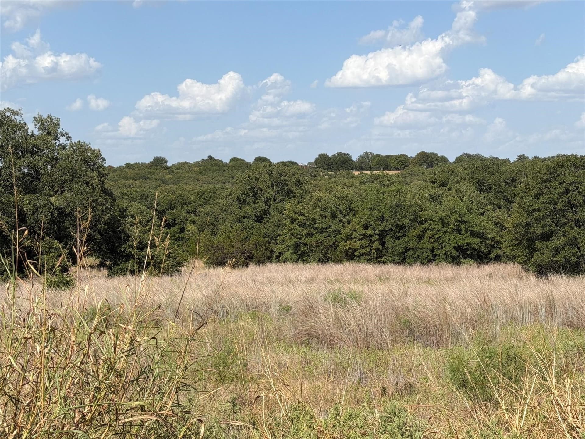 5.77 acres in Jack County