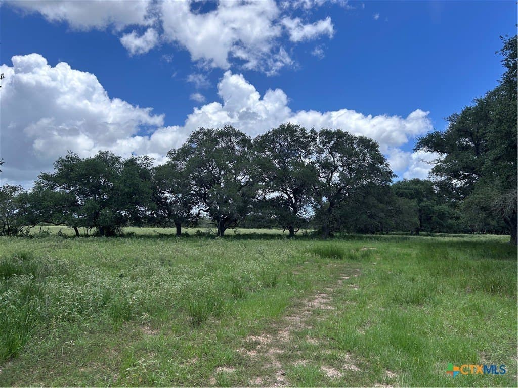 142.61 acres in Lavaca County