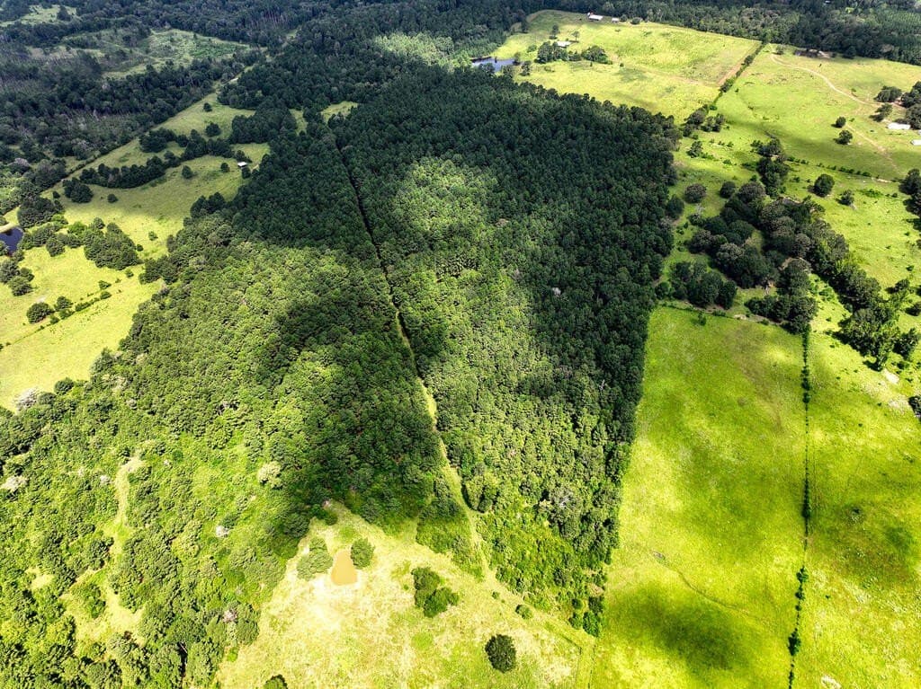 57.52 acres in HOUSTON County