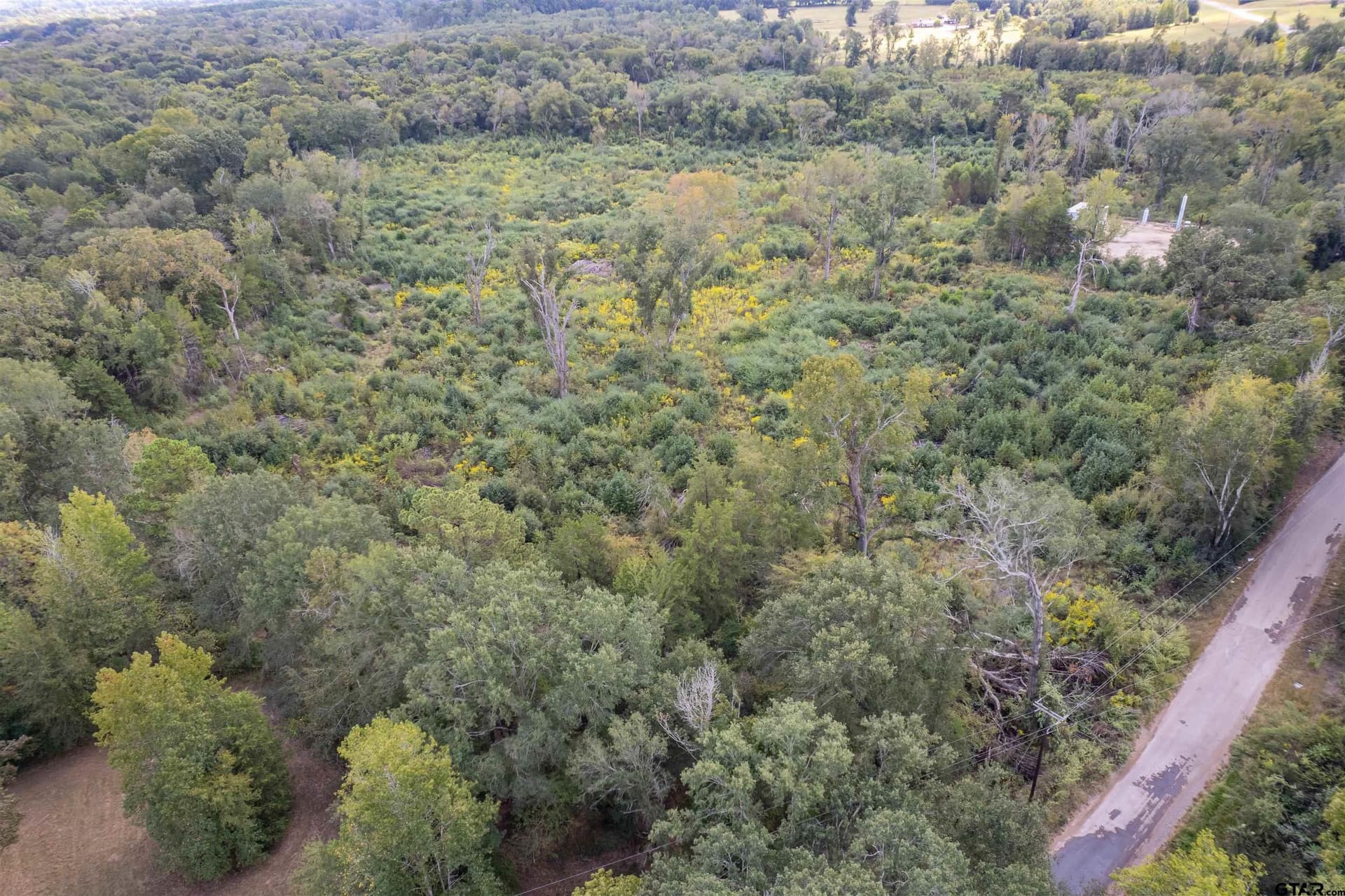 49.87 acres in Smith County