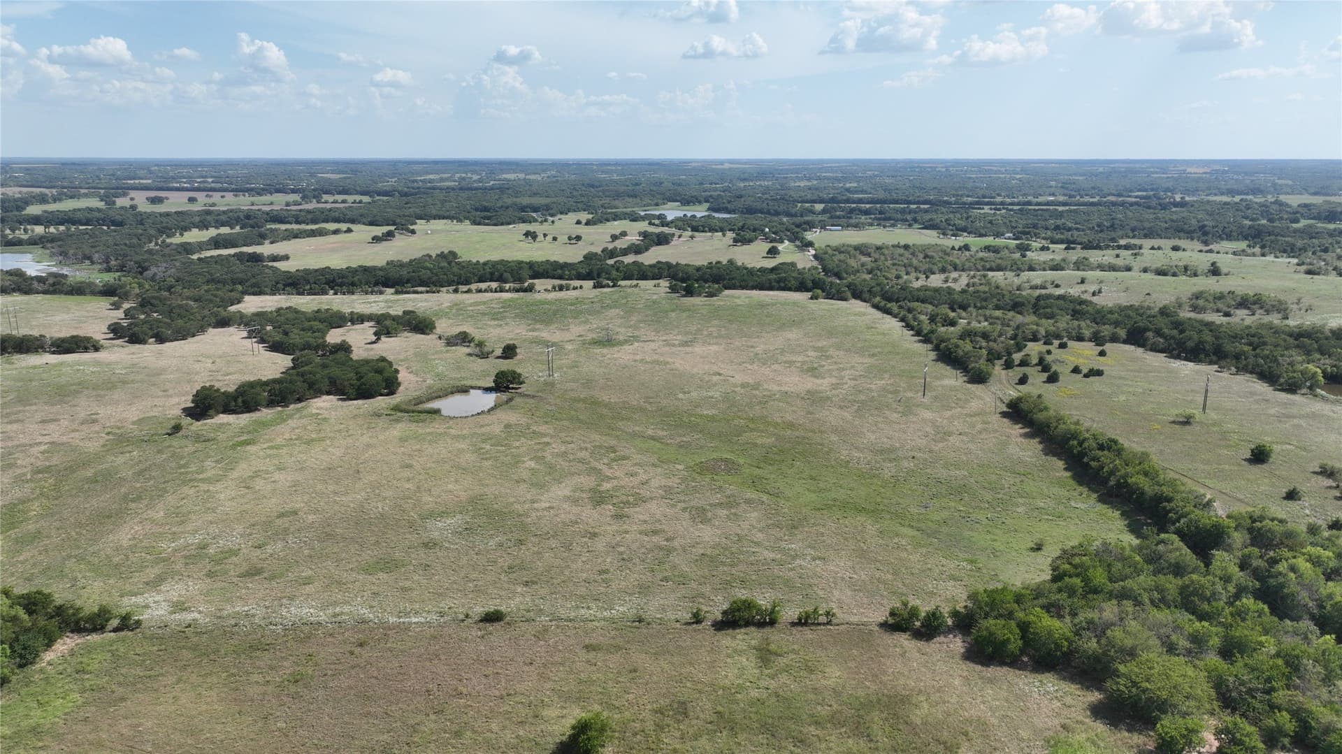 49.54 acres in Fannin County
