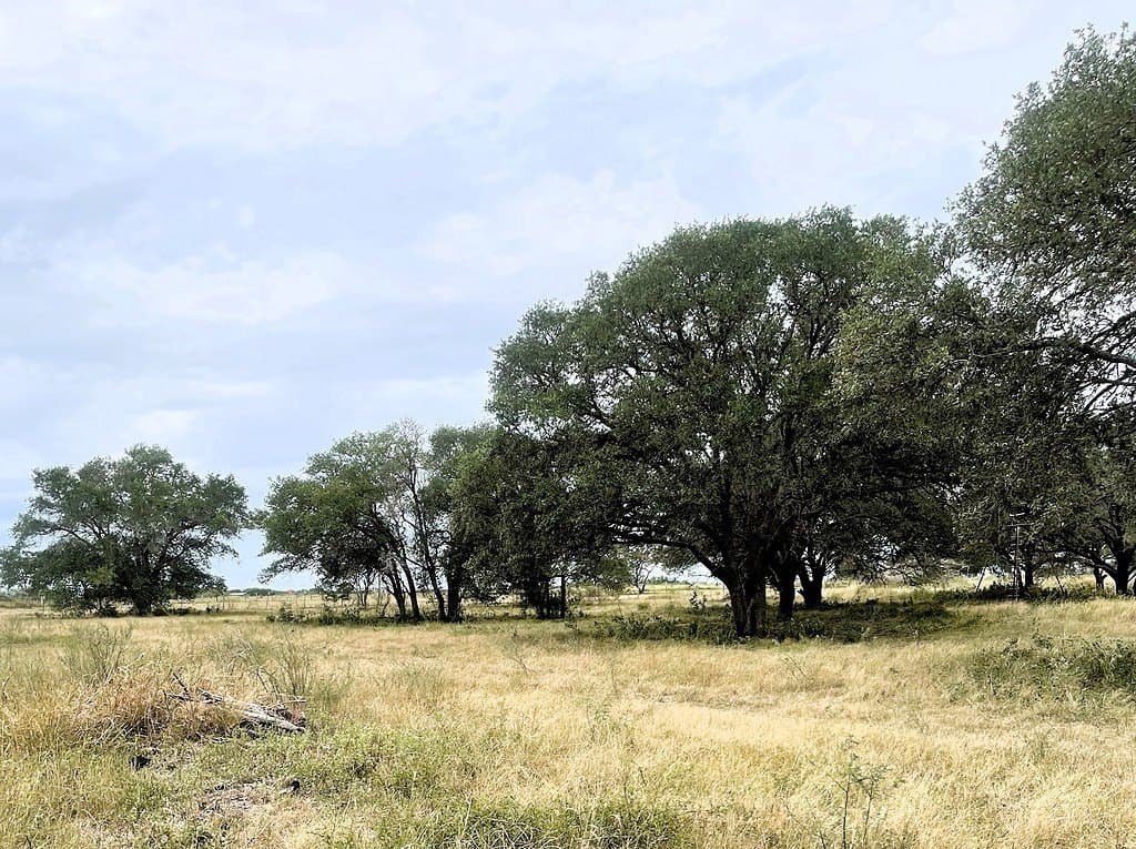 15.6 acres in Lavaca County