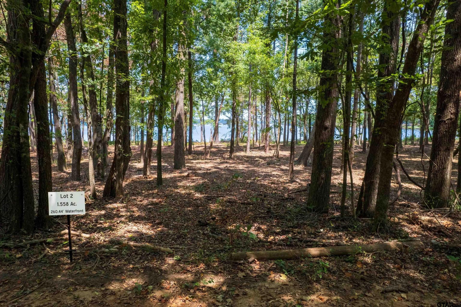 1.56 acres in Camp County