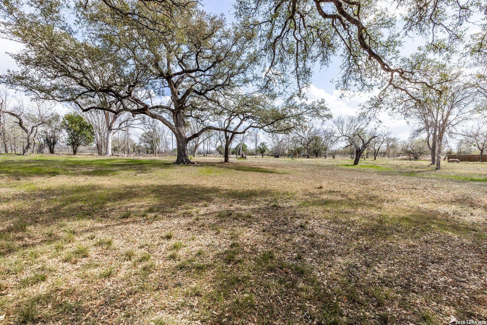 4.31 acres in Guadalupe County