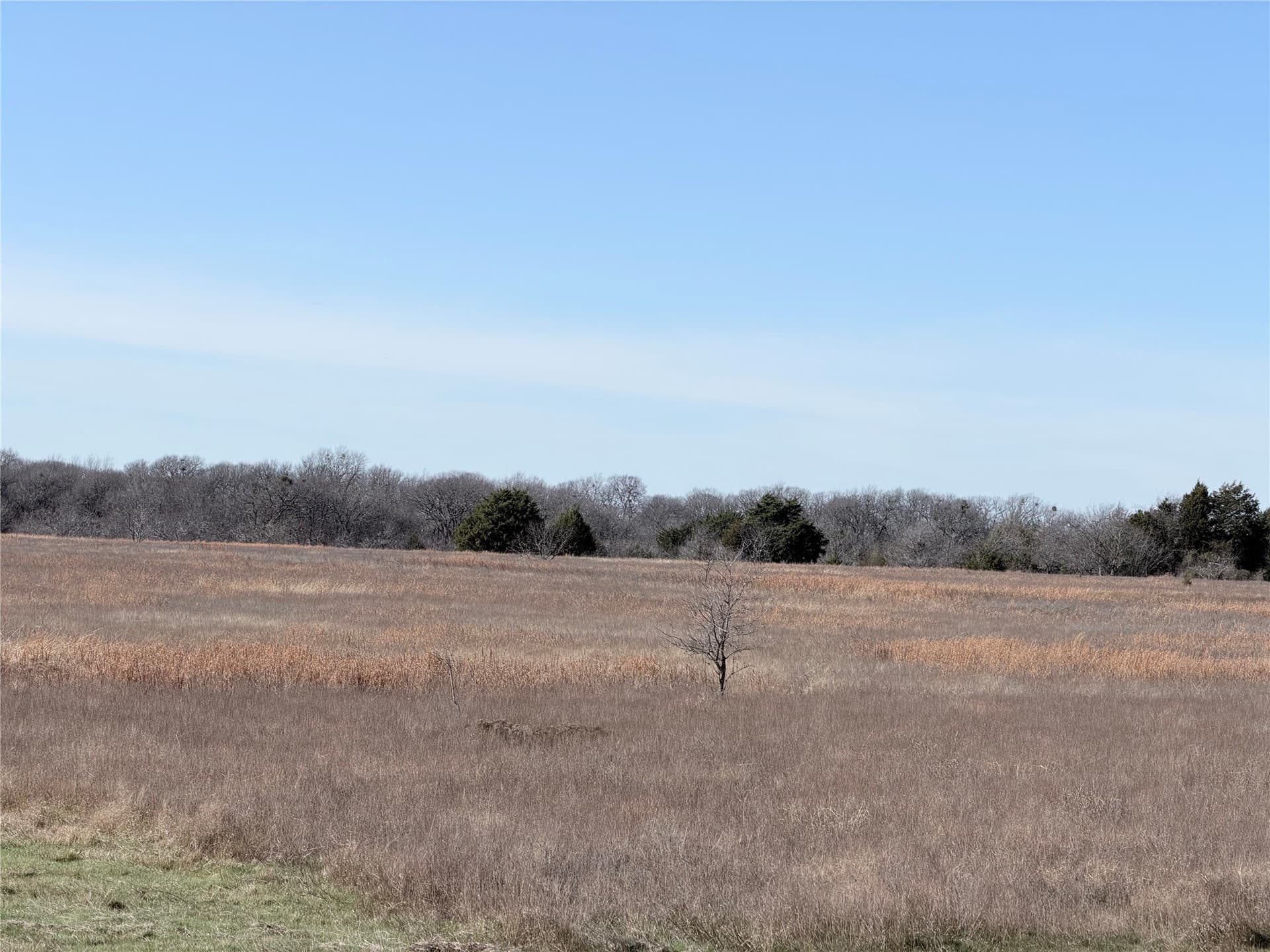 40.13 acres in Navarro County