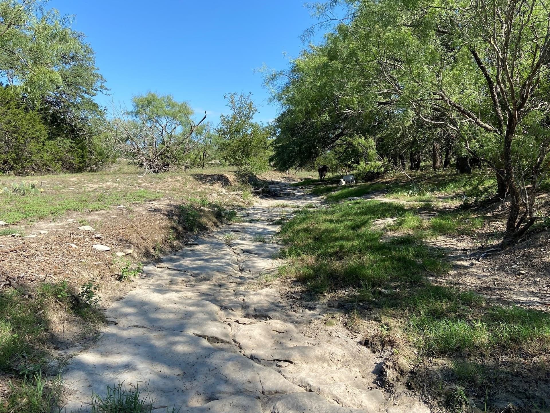 28 acres in Mills County
