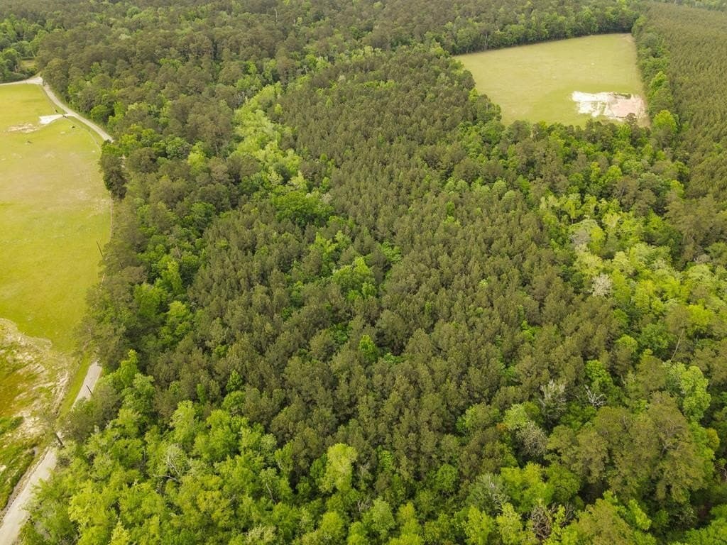 19.5 acres in Texas County