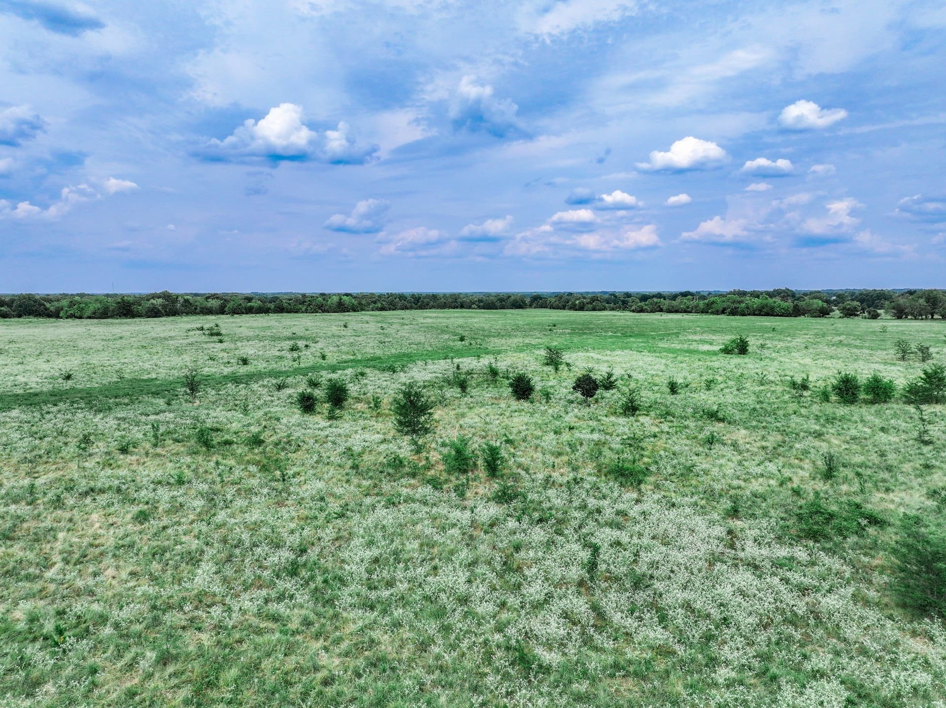 125 acres in Franklin (TX) County
