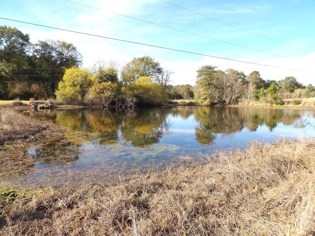 41.75 acres in Texas County