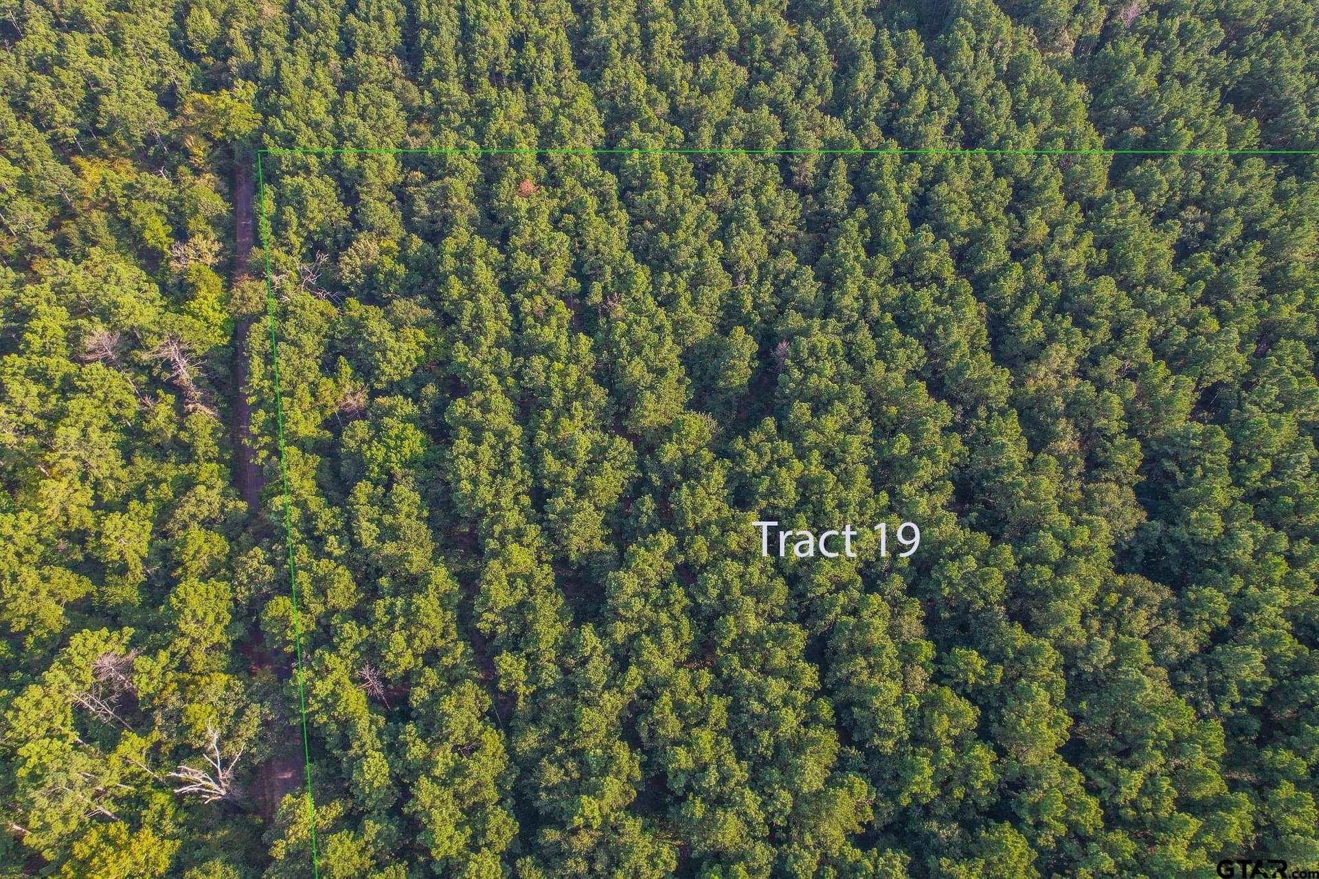 35 acres in Henderson County