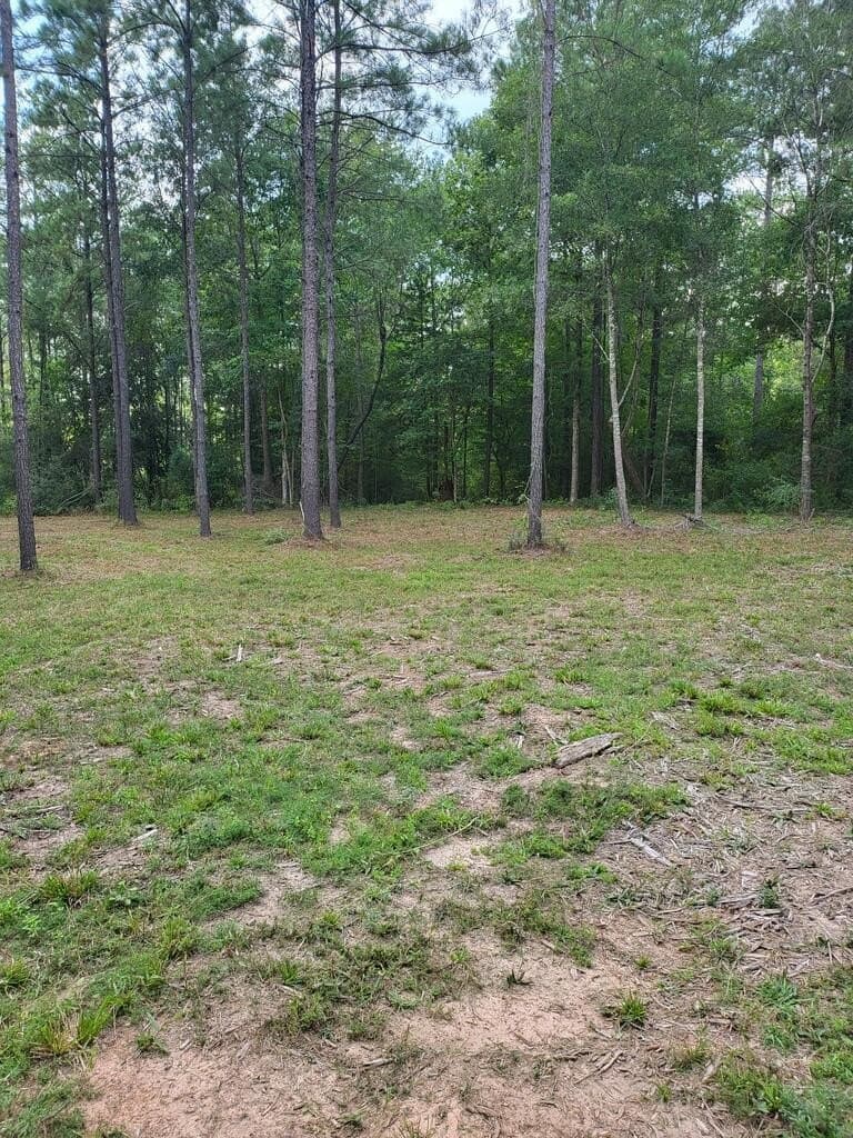 10.1 acres in Texas County