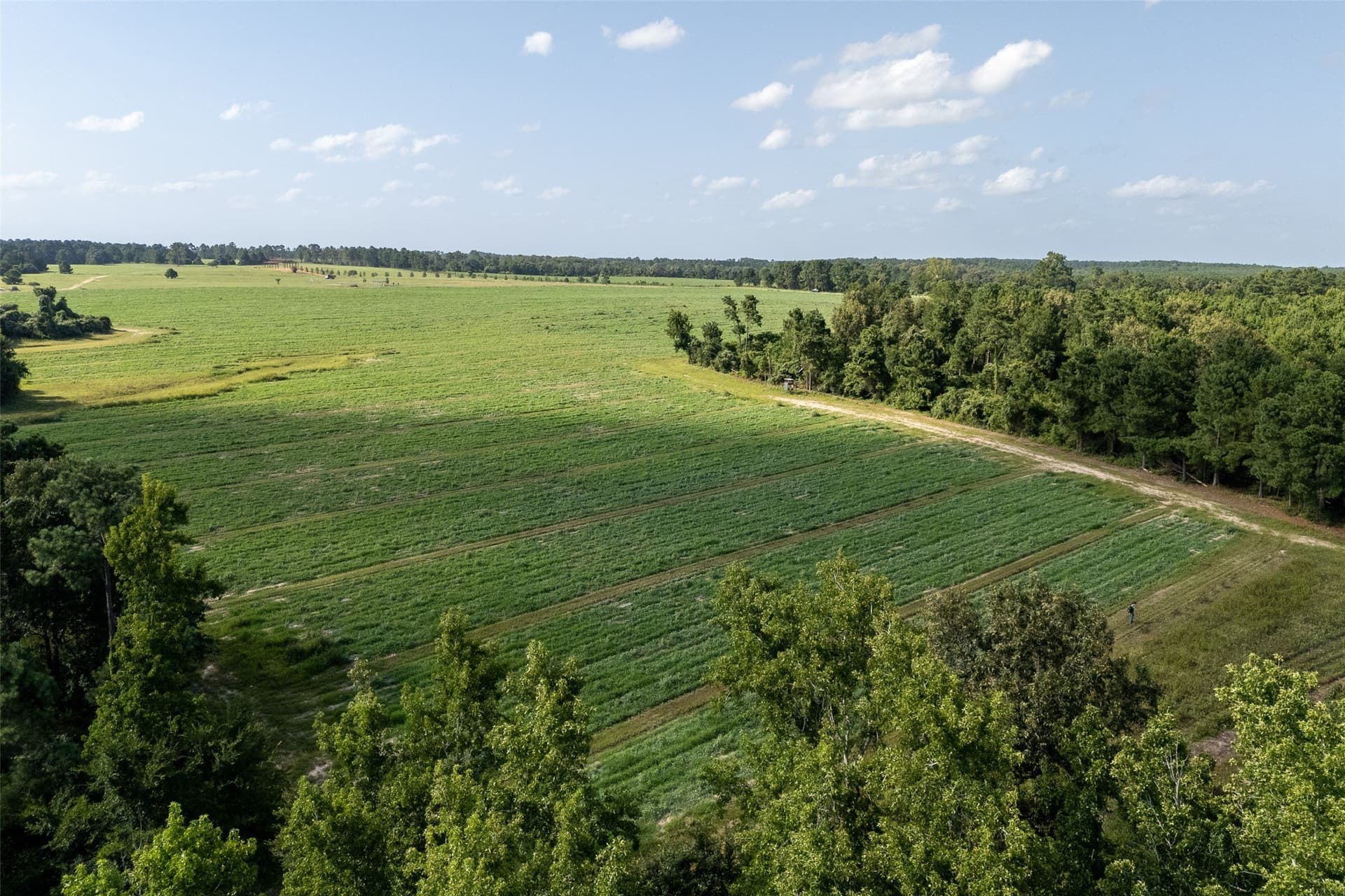 131.16 acres in Houston County