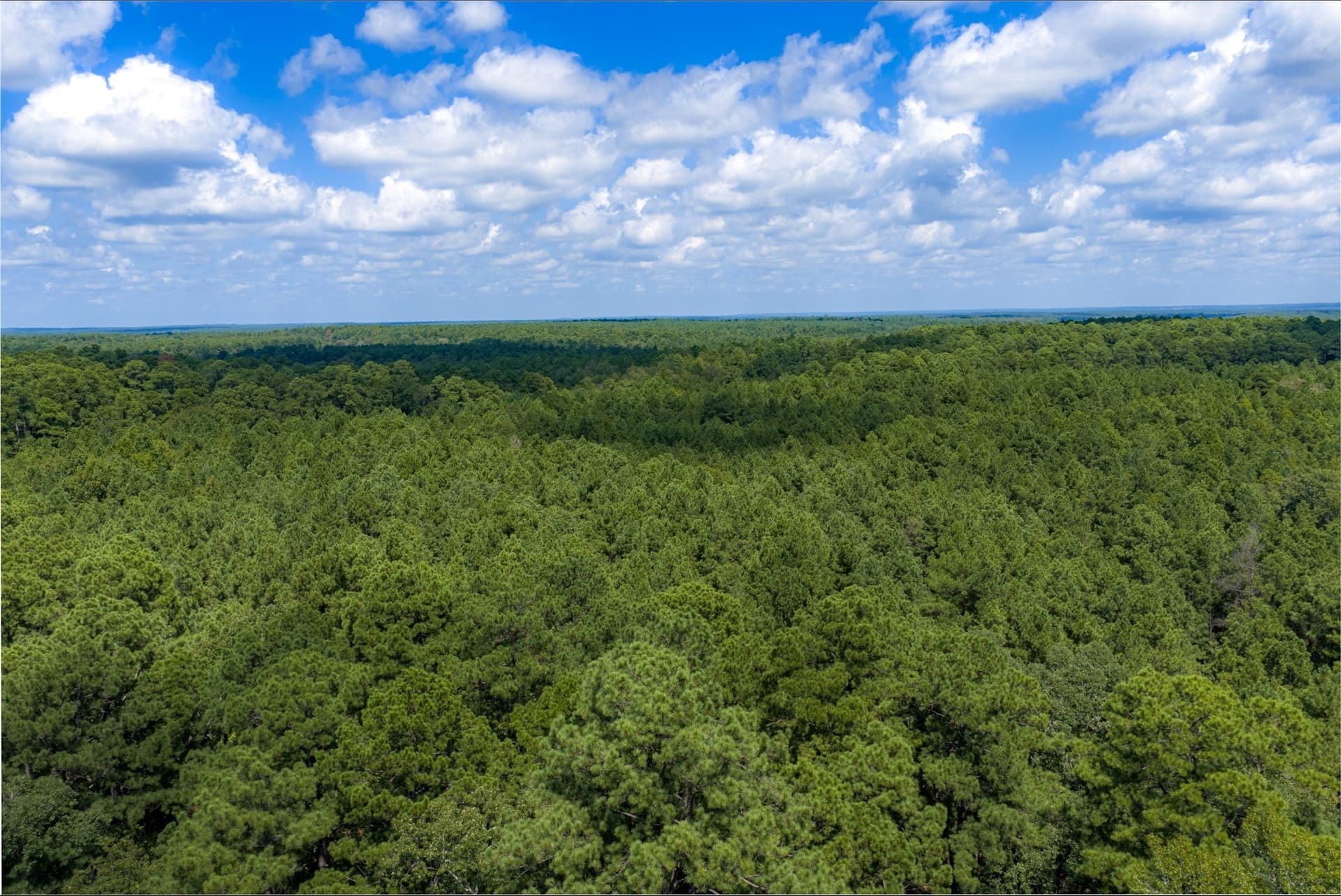 37.3 acres in Houston County