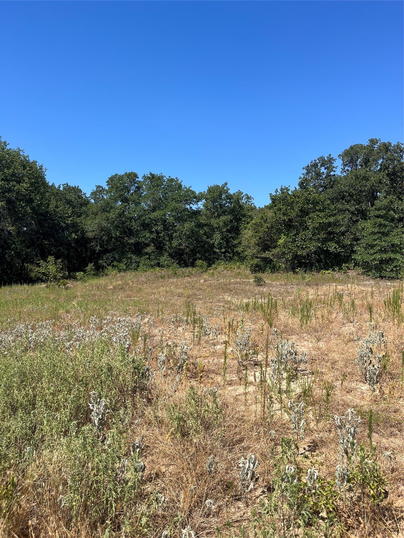 4.4 acres in Parker County