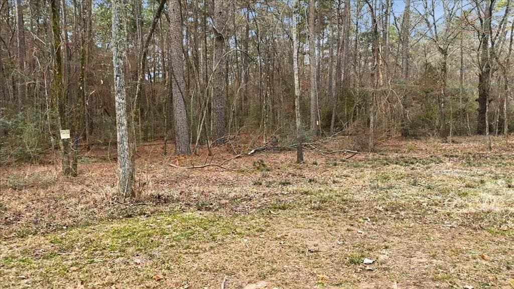 8.9 acres in Texas County