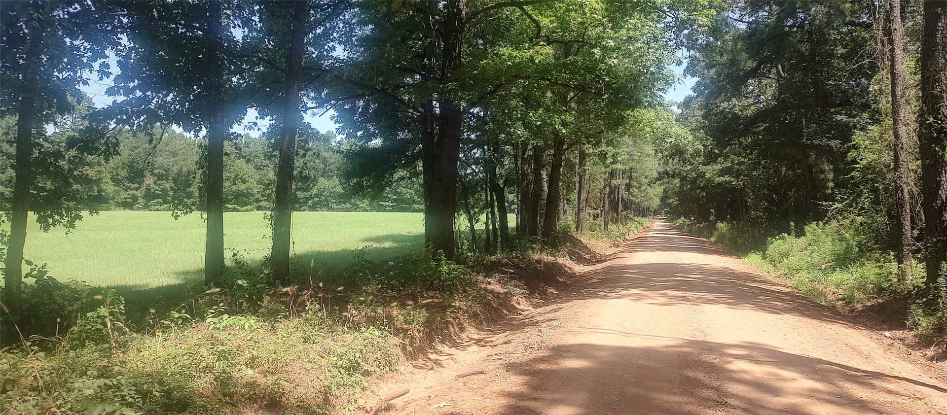 29 acres in Shelby County