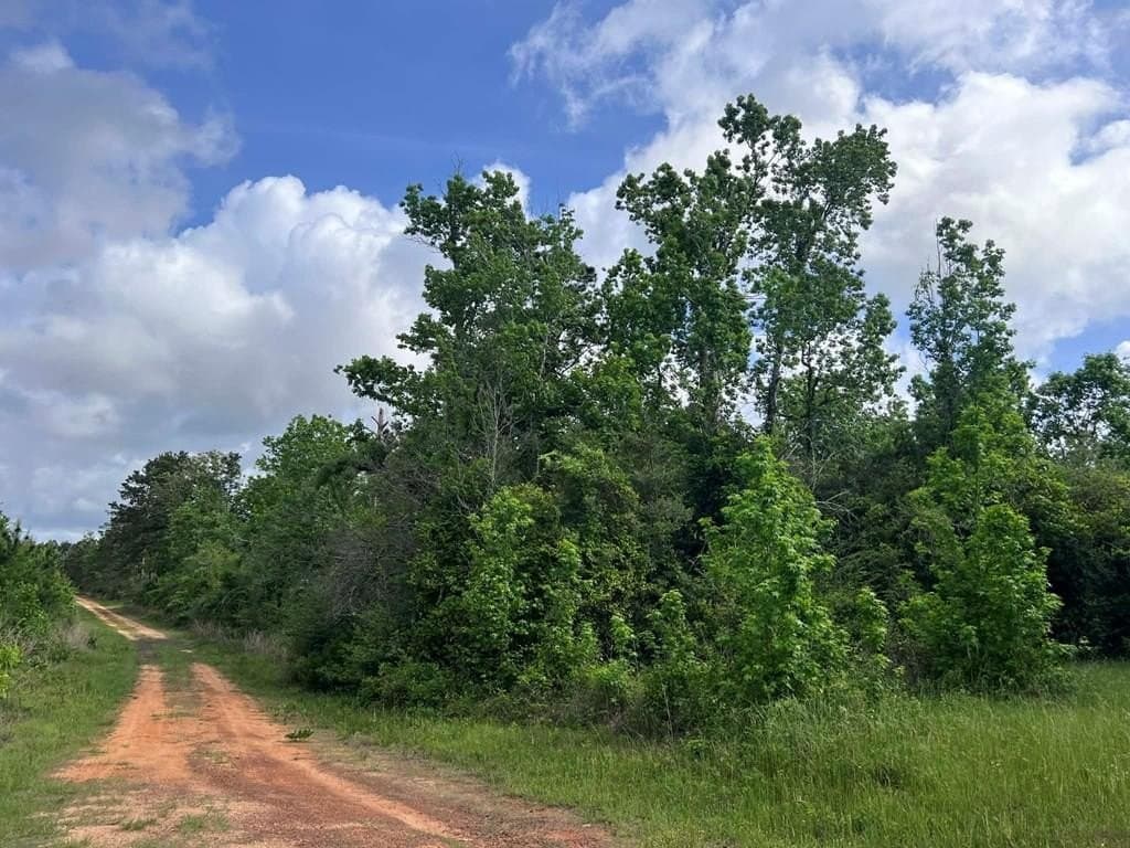 10 acres in Texas County