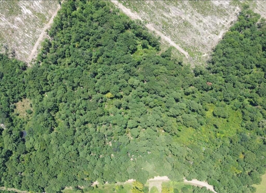 18.53 acres in Texas County