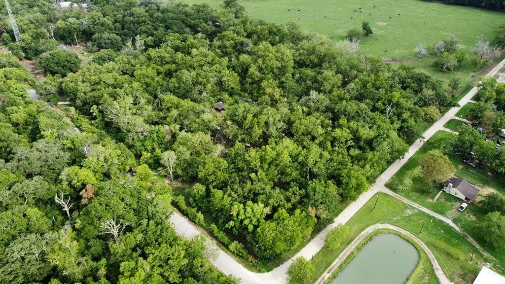 4.84 acres in Angleton County
