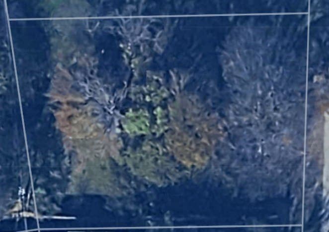 0.22 acres in Henderson County
