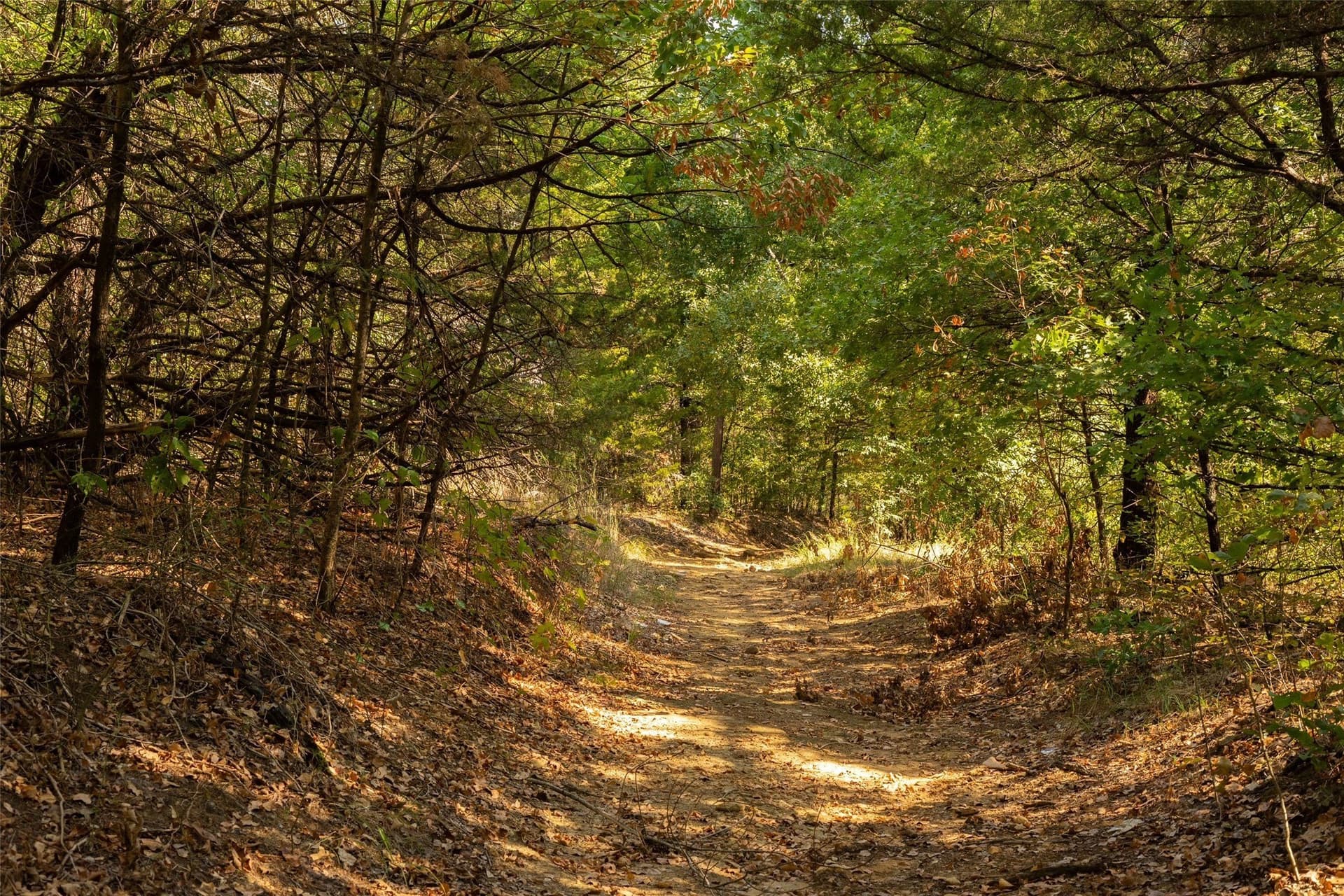 4 acres in Grayson County