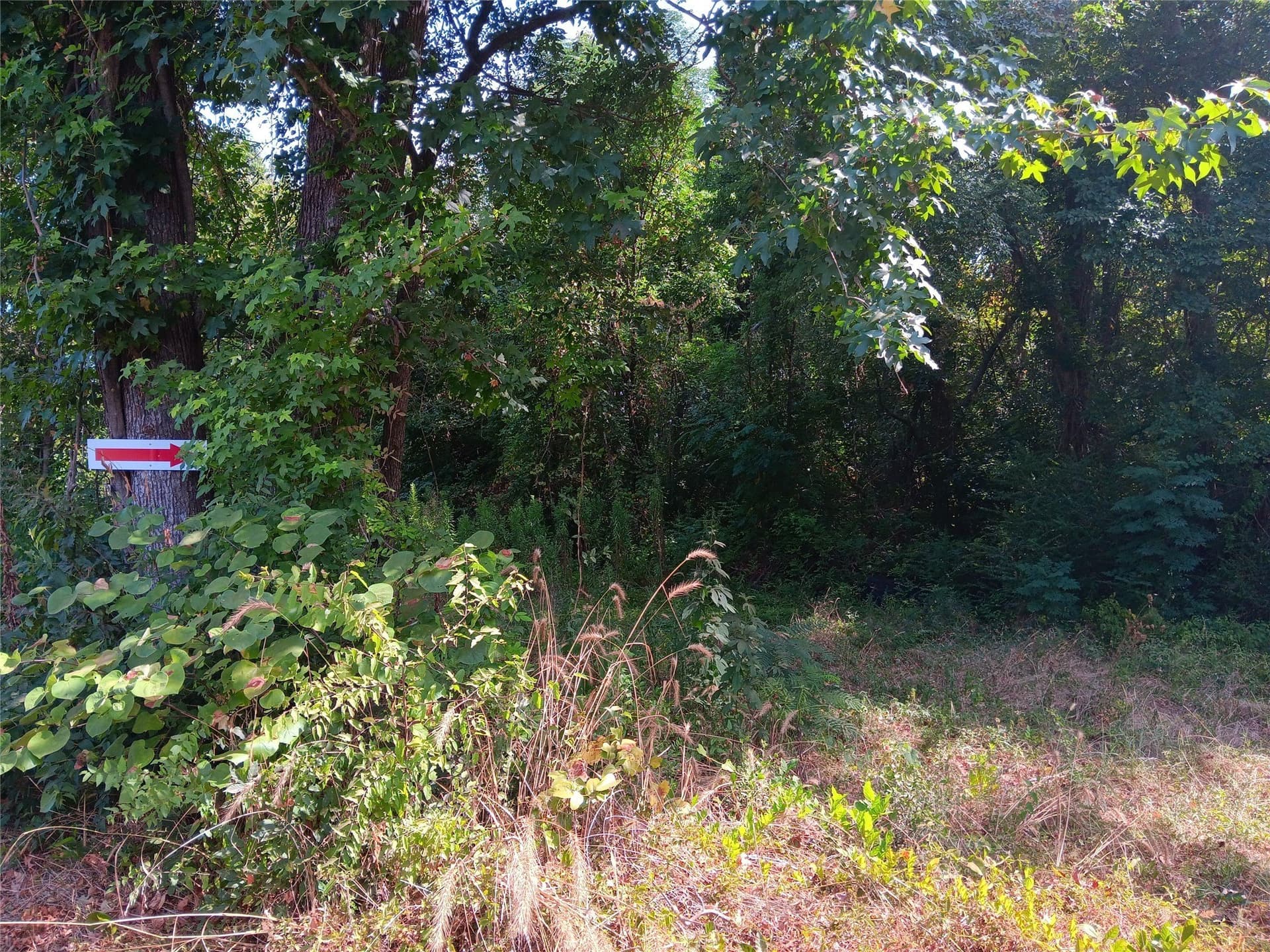 10 acres in Panola County