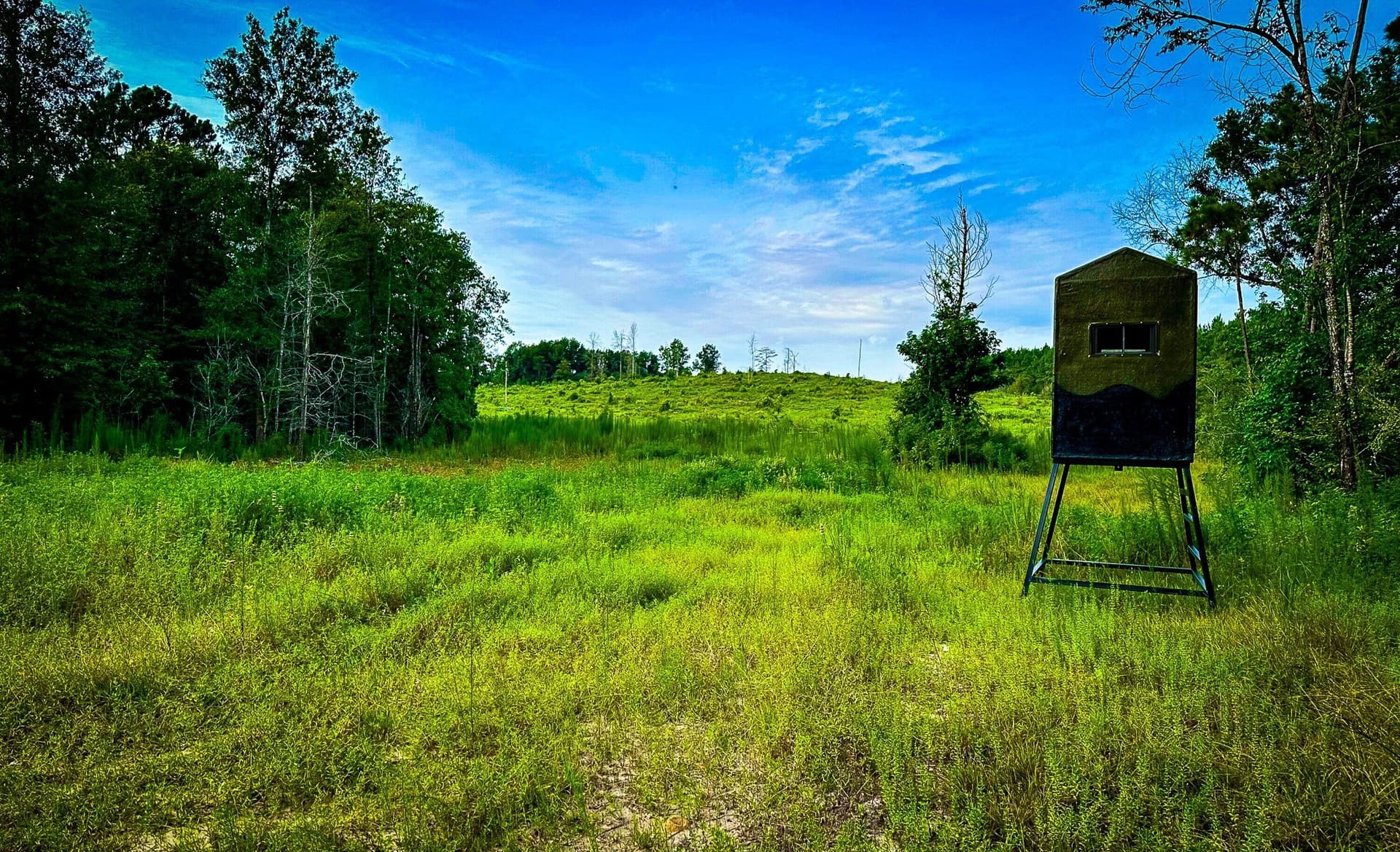 140 acres in Polk County