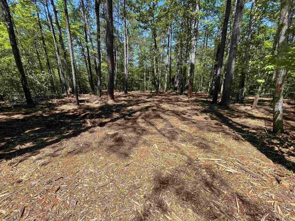 0.22 acres in Texas County
