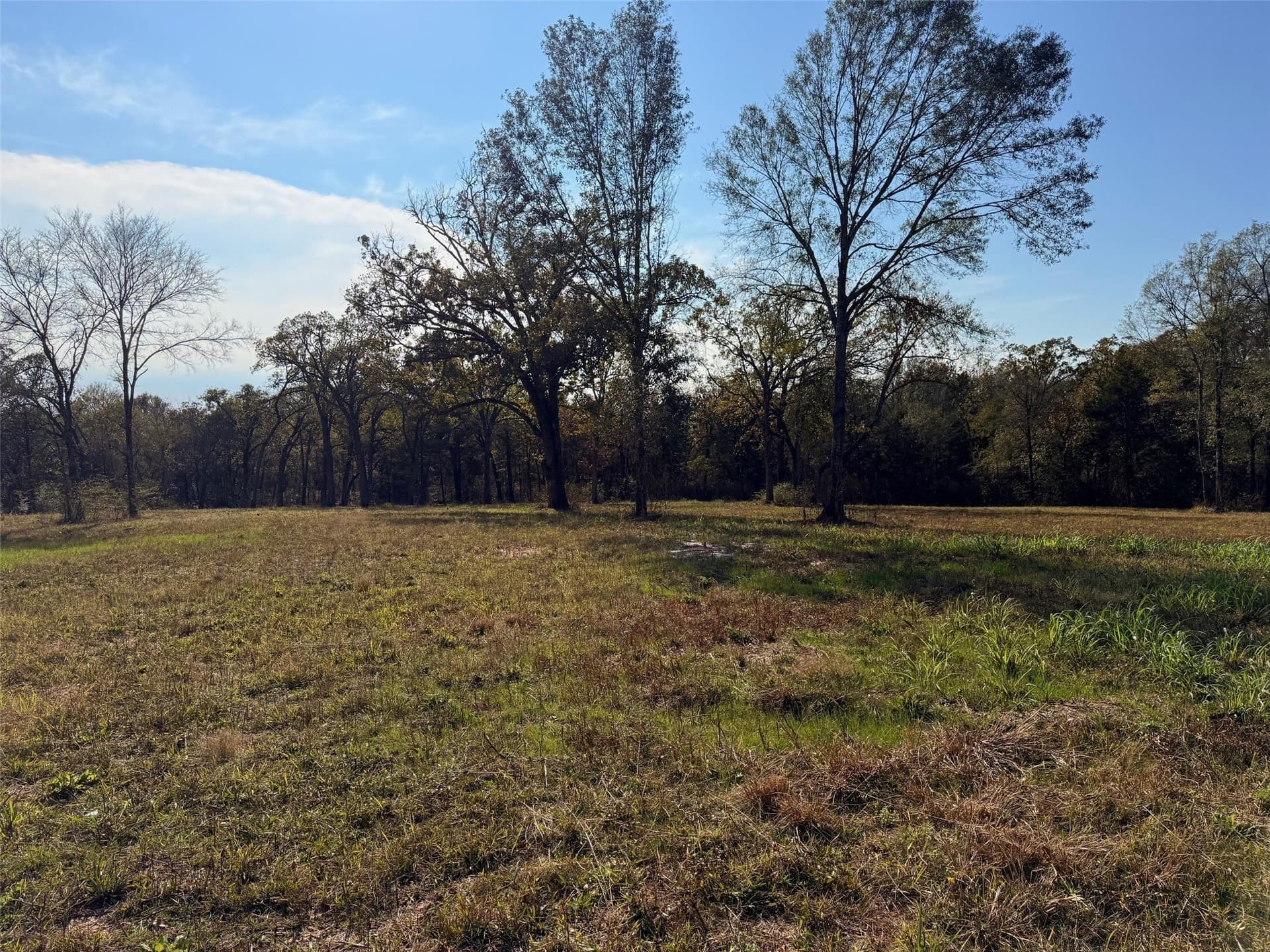 5.66 acres in Henderson County