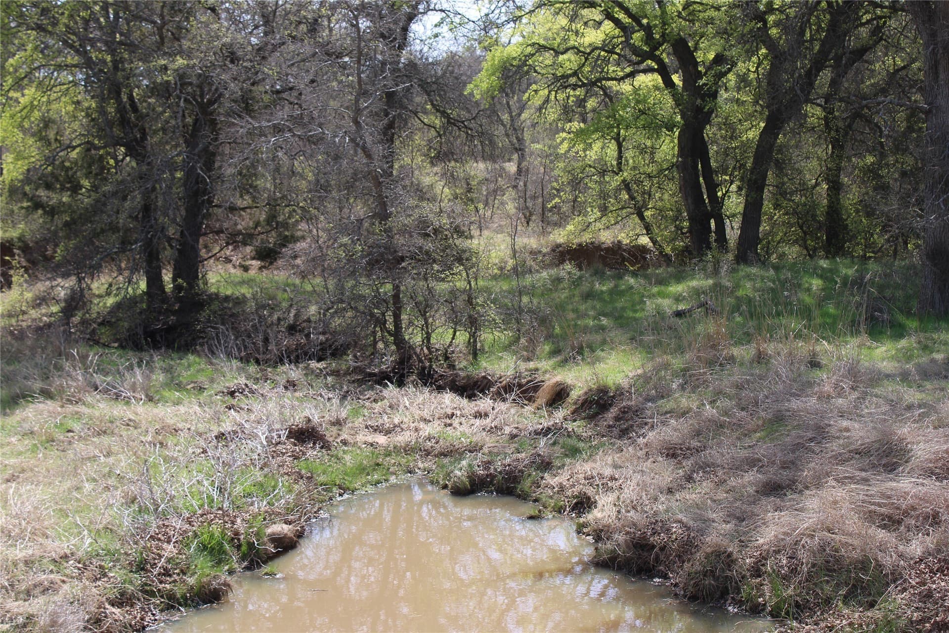 21 acres in Jack County