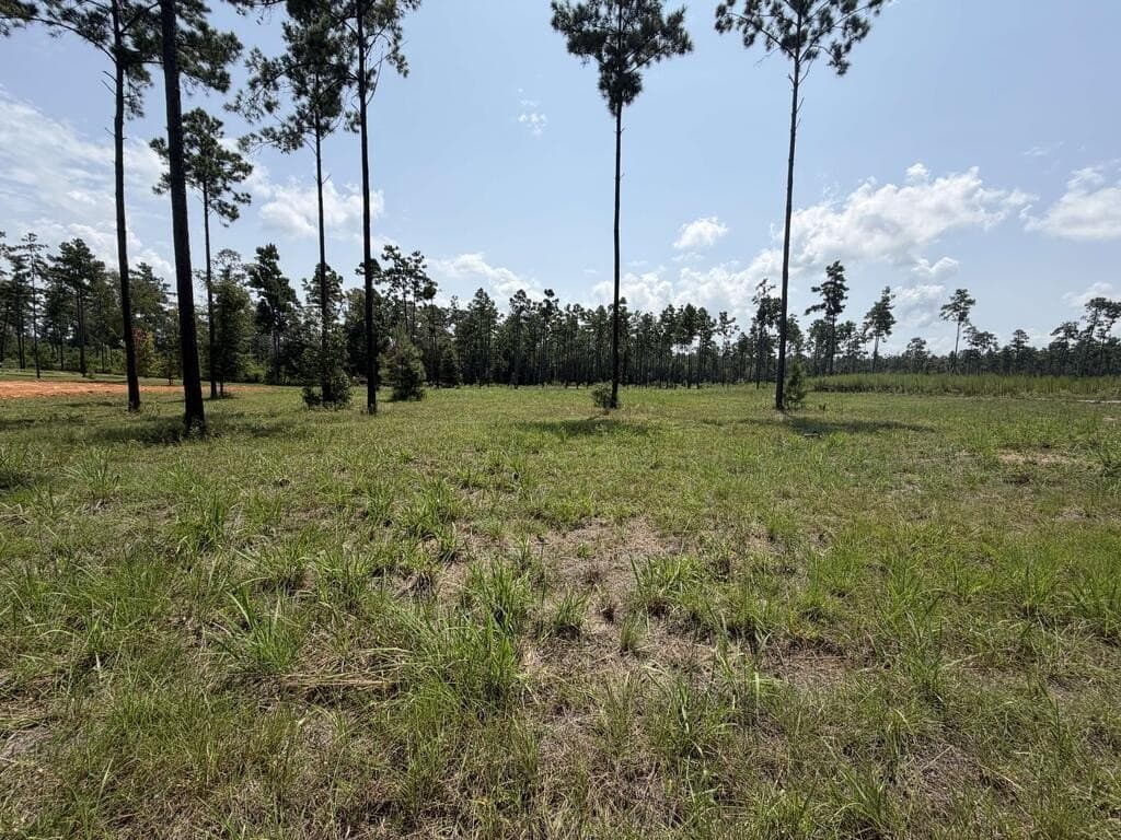 1.03 acres in Texas County